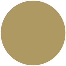 Ghiant Acryl Lackspray 300ml gold 910 