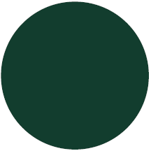 Ghiant Acryl Lackspray 300ml tannengrün 312 