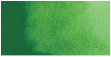 Kuretake ZIG GANSAI TAMBI AQUARELLFARBE 053 Sap Green / Mid Green 