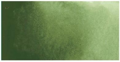 Kuretake ZIG GANSAI TAMBI AQUARELLFARBE 054 Olive Green 