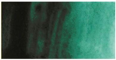 Kuretake ZIG GANSAI TAMBI AQUARELLFARBE 056 Forest Green / Marine Green 
