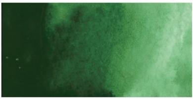 Kuretake ZIG GANSAI TAMBI AQUARELLFARBE 058 Sap Green Deep / Ever Green 