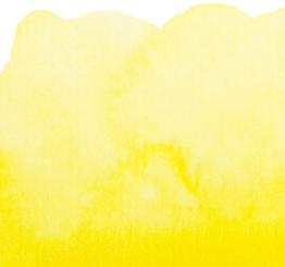 08 Chromegelb (HUE) Renesans Aquarellfarbe Intense Water 15 ml 