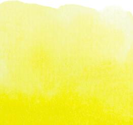 10 Aureolin (HUE) Renesans Aquarellfarbe Intense Water 15 ml 