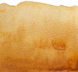 12 Transparent Goldocker Renesans Aquarellfarbe Intense Water 15 ml 