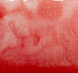 18 Scharlachrot Renesans Aquarellfarbe Intense Water 15 ml 