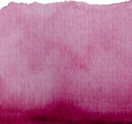 24 Purpurmagenta Renesans Aquarellfarbe Intense Water 15 ml 