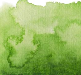 39 Permanentgrün Renesans Aquarellfarbe Intense Water 15 ml 