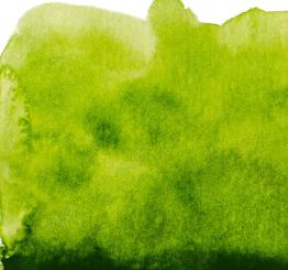 40 Saftgrün Renesans Aquarellfarbe Intense Water 15 ml 