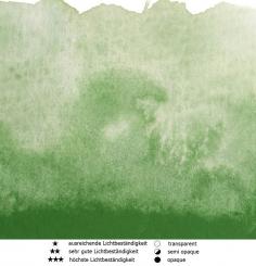 41 Kobaltgrün Hell Renesans Aquarellfarbe Intense Water 15 ml 