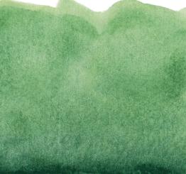 43 Kobaltgrün Dunkel Renesans Aquarellfarbe Intense Water 15 ml 