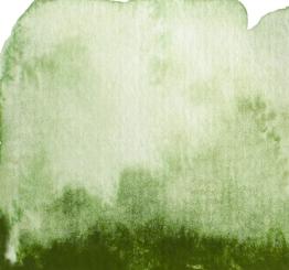 45 Grünoliv Renesans Aquarellfarbe Intense Water 15 ml 