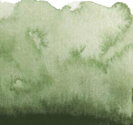 47 Hookersgrün Renesans Aquarellfarbe Intense Water 15 ml 