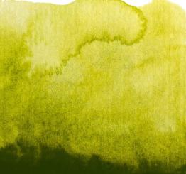 48 Goldengrün Renesans Aquarellfarbe Intense Water 15 ml 