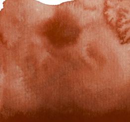 54 Rotocker Renesans Aquarellfarbe Intense Water 15 ml 