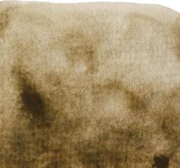 61 Umbra Natur Renesans Aquarellfarbe Intense Water 15 ml 