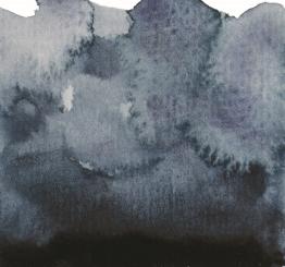 65 Payne´s Grau Renesans Aquarellfarbe Intense Water 15 ml 