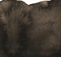 68 Elfenbeinschwarz Renesans Aquarellfarbe Intense Water 15 ml 