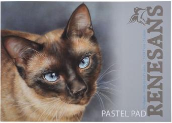 Renesans / Pastell Block A4 - 10 Blatt Samtpapier mit 5 Farben 