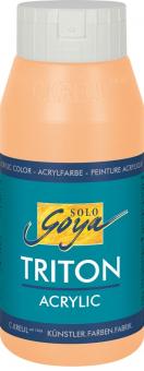 Triton Acrylic Basic Terracotta  Fl. 750 ml 
