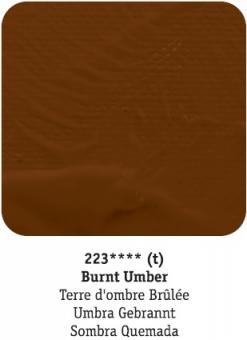 D-R system3 223 Umbra Gebrannt / Burnt Umber 