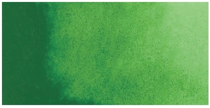 Kuretake ZIG GANSAI TAMBI AQUARELLFARBE 053 Sap Green / Mid Green 