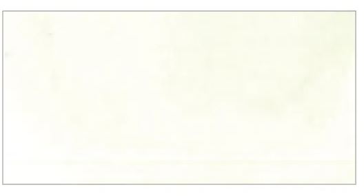 Kuretake ZIG GANSAI TAMBI AQUARELLFARBE 101 Gofun 