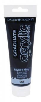 Daler-Rowney Payne's Grau 065 Graduate acrylic 120ml 